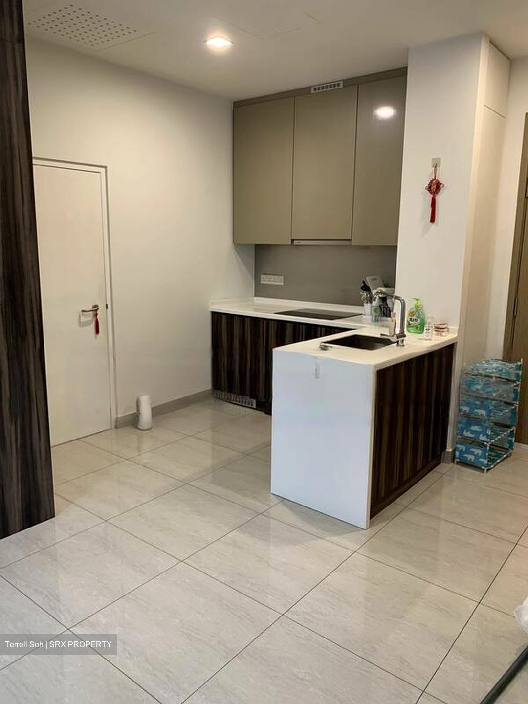 Kap Residences (D21), Apartment #480996861